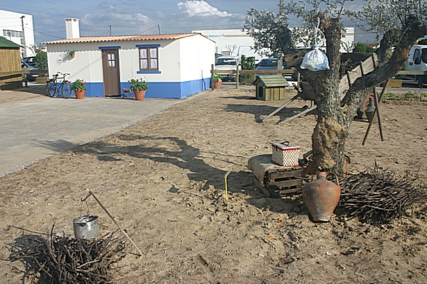 [IMG_1316.JPG]