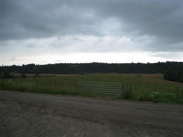 [Mod+Kongeørns+reden+(Small).JPG]