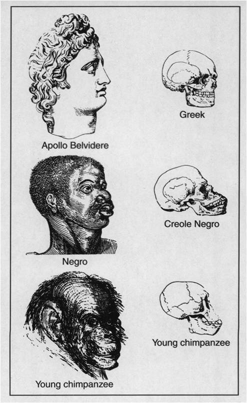 hitler propaganda thesis hitler propaganda thesis