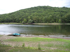 View out of my Cabin at the Hermitage