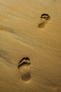 [footsteps.jpg]