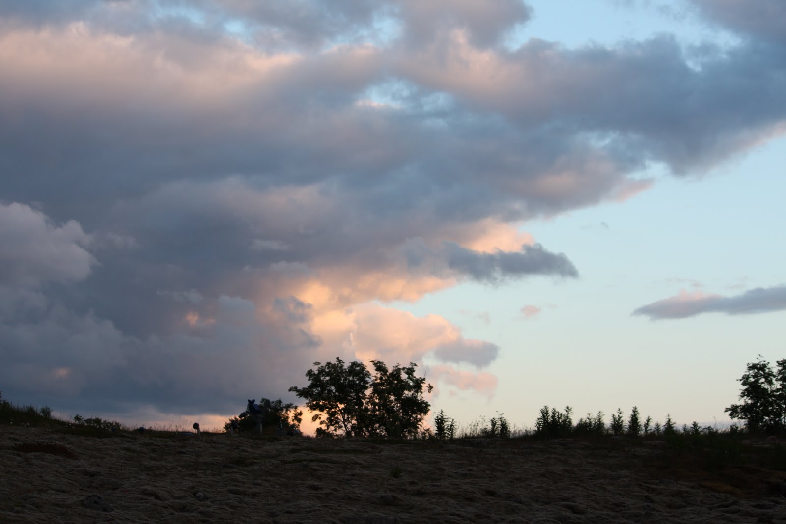Sonja S Bilder Sommerbilder Fra Bo I Vesteralen