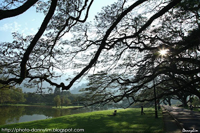 Taiping-Lake-Garden-7