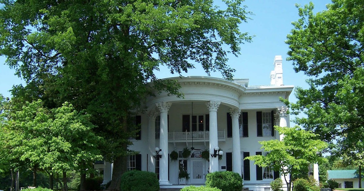 Unusual Kentucky Whitehaven