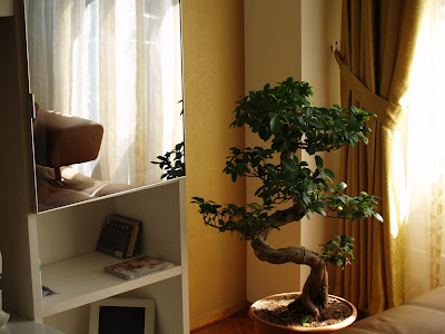Design Living