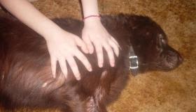 dogging nu massage i esbjerg dogging nu massage i esbjerg