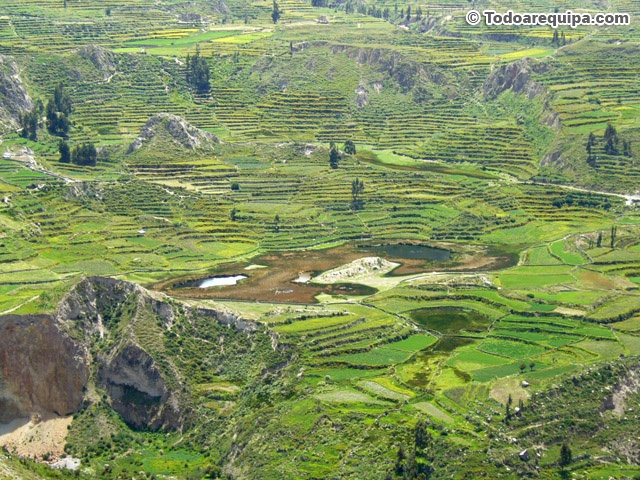 MUSICA AGRADEZCO PERU musica agradezco peru: