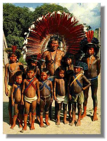 ÍNDIOS OS PROTETORES DAS FLORESTAS DA MÃE GAIA