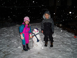 Snow in las vegas