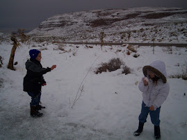 Snowball fight