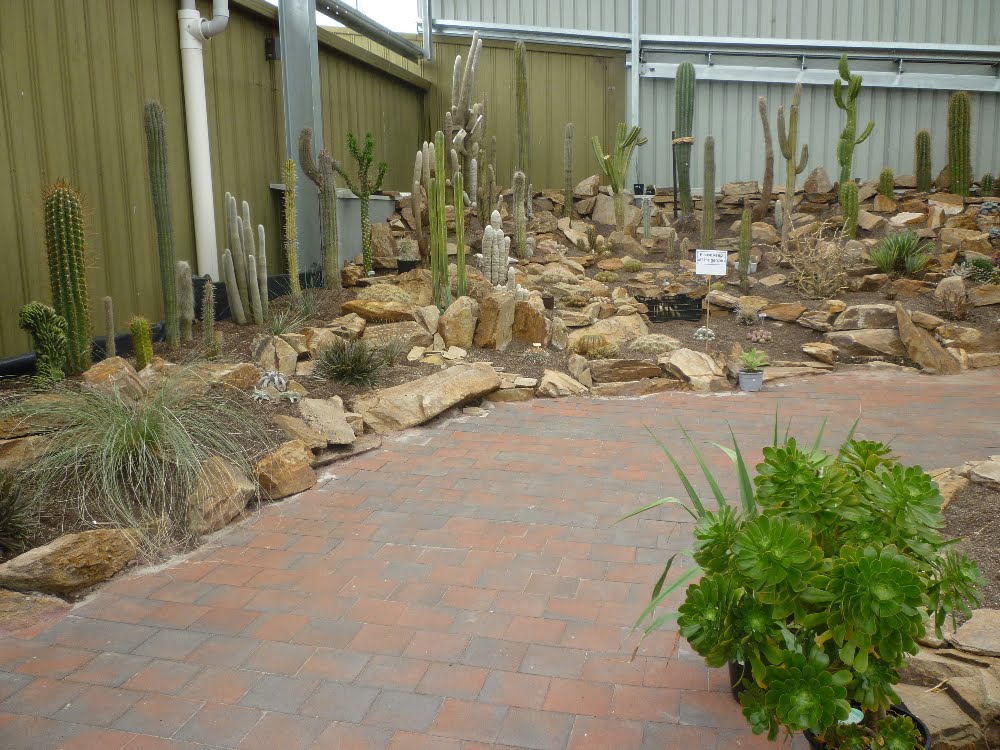 .: Cactus garden