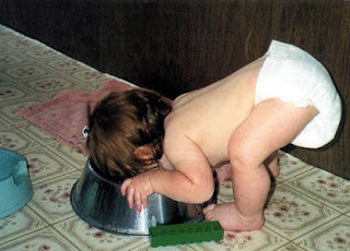 child drinking eating dog bowl funny