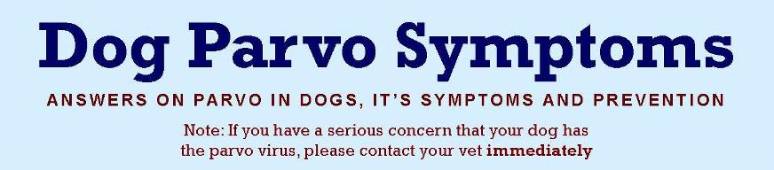 Dog Parvo Symptoms