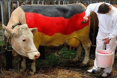funny-photos-german-cow