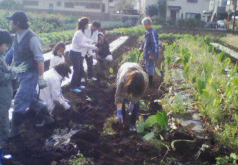 [200911080823000.jpg]