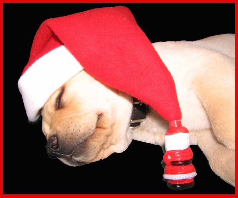 [305923804_7365393722_o.jpg]