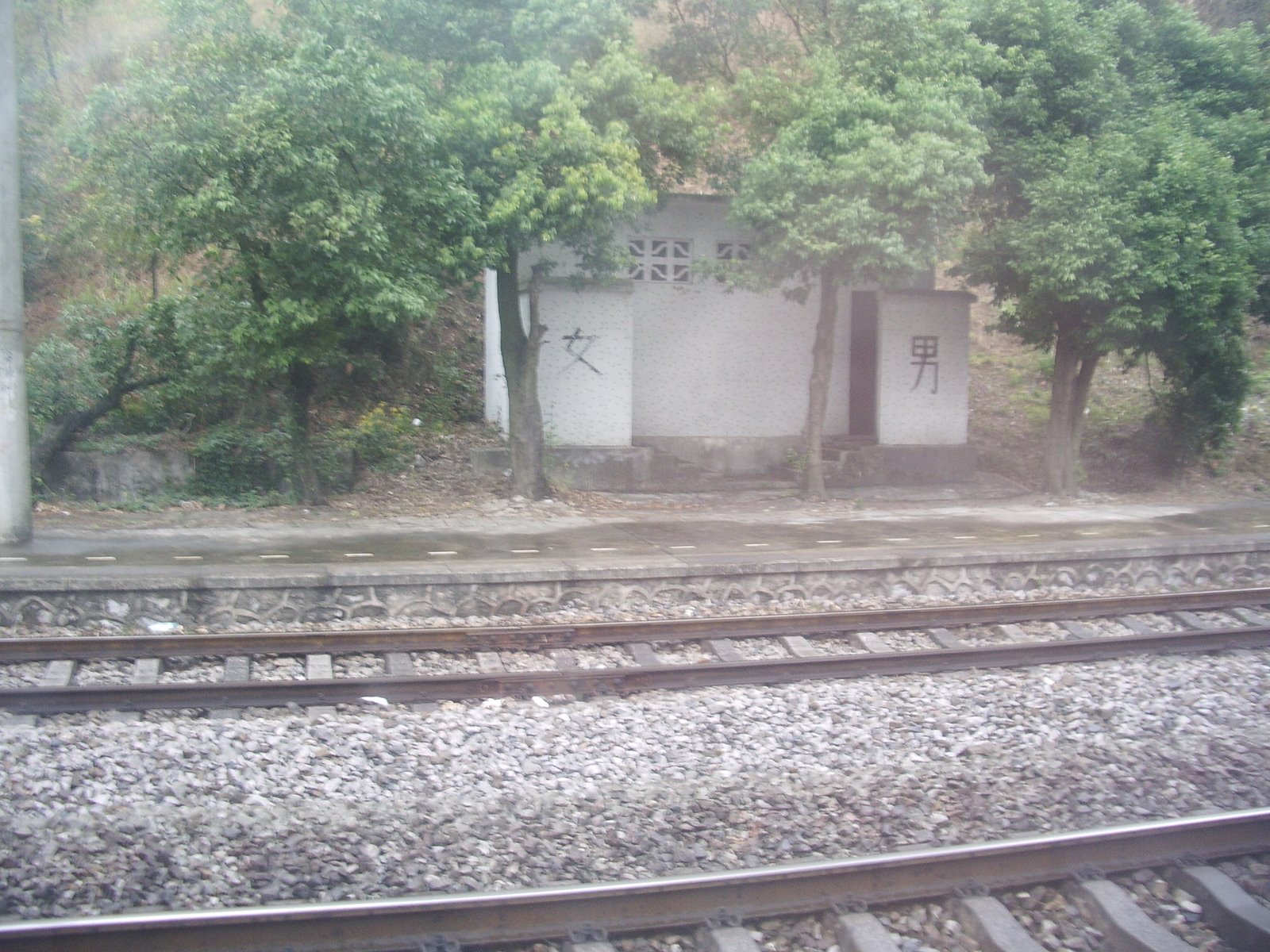 [IMGP0233.JPG]