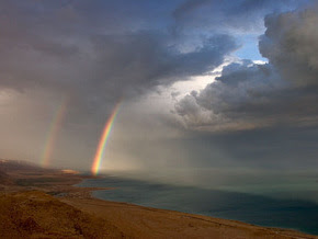 Мертвое море станет новым чудом природы?