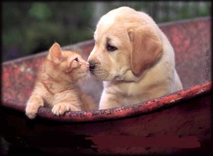 [frente+a+frente.bmp]
