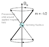 alignment of protons in a spinning nucleus in a static magnetic field