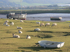 That vessel is not Sheepworthy