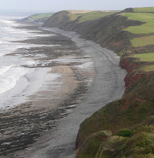 Peppercombe Bay