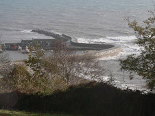 Lyme Harbour and the famous Cob