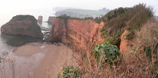 Jurassic Ladram Bay