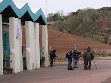 Twitchers gather at Broad Sands Bay