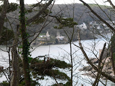 Glimpses of Dartmouth Castle across the Estuary