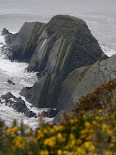 Gull Rock off Marshland Cliff