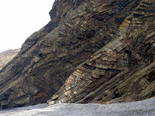 The chevron folds at Millook beach