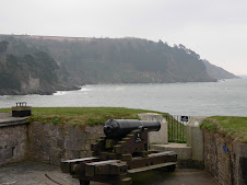 The Castle defenses