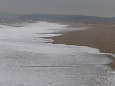 Slapton Sands and Torcross in the distance