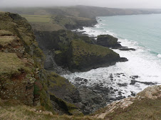 Remains of a coastal quarry