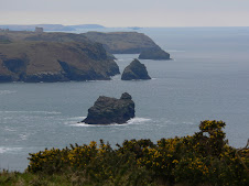The view from Fire Beacon Point
