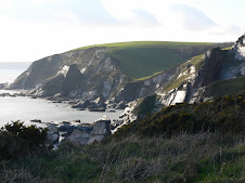 The Slate cliffs at Ringmore