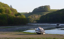 Sunday 3rd May - Looe River at dawn