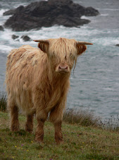 Can he see the cliff edge?