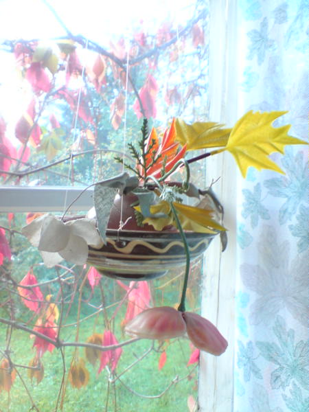 [image-upload-59-797806.jpg]