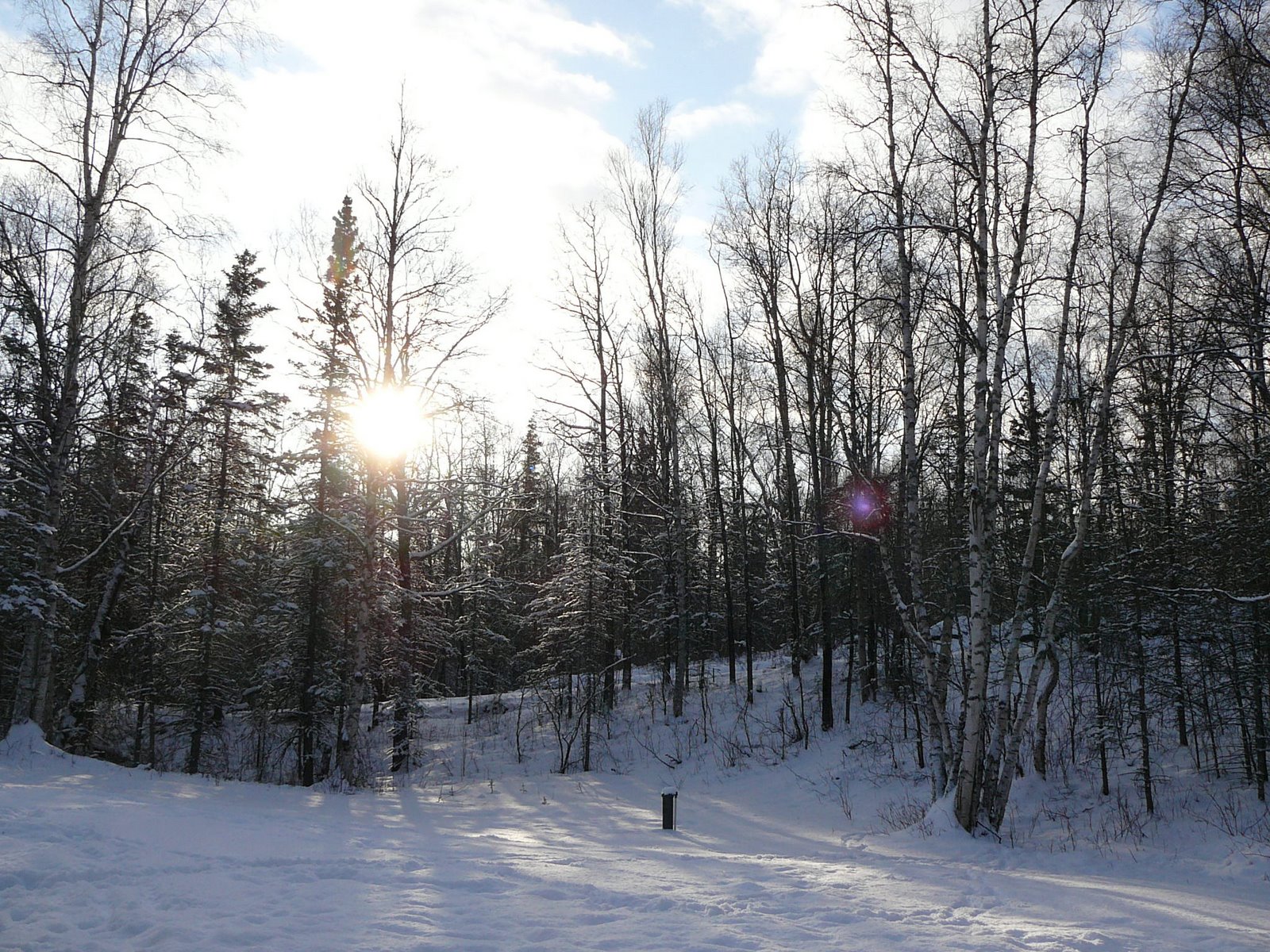 [P1050102.JPG]