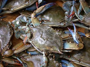[799px-Blue-crab-on-market-in-Piraeus-Callinectes-sapidus-Rathbun-20020819-317.jpg]