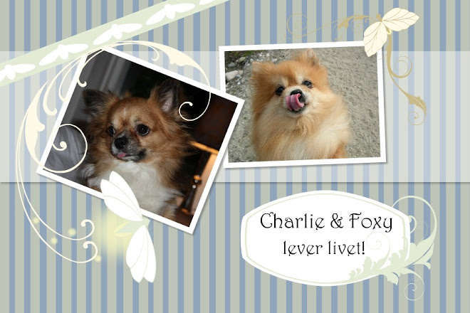 Charlie & Foxy