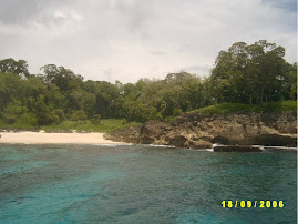 Pulau Jiuw