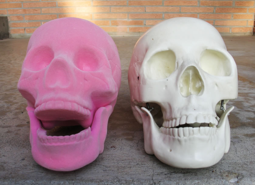 [skull2frontopti.jpg]