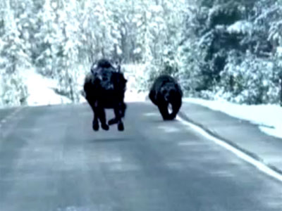 Alex Wypyszinski Photos