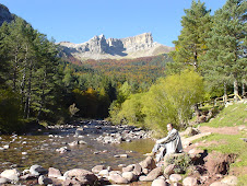 SELVA DE OZA Octubre