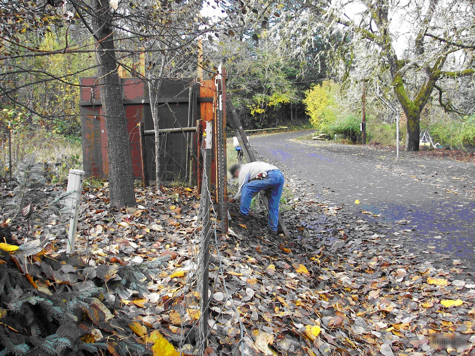 Berry recollected essays 03 image