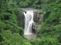 Professional BALI ISLAND DRIVER & Private GUIDE TOUR - Tegenungan Waterfall Tour.jpg