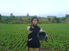 aku di kebun